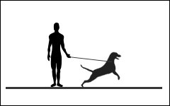 Cours pour chiens, cours obligatoire pratique, Monthey, Suisse