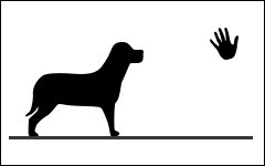 Cours privés pour chiens, Monthey, Suisse