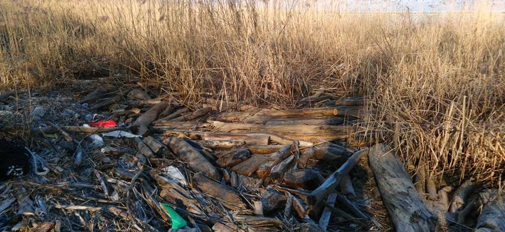 La réserve naturelle Les Grangettes se situe à proximité de Noville entre Villeneuve (Vaud) et le Bouveret (Bas-Valais) Les Grangettes, une réserve naturelle qui se situe à proximité de Noville entre Villeneuve (Vaud) et le Bouveret (Bas-Valais)