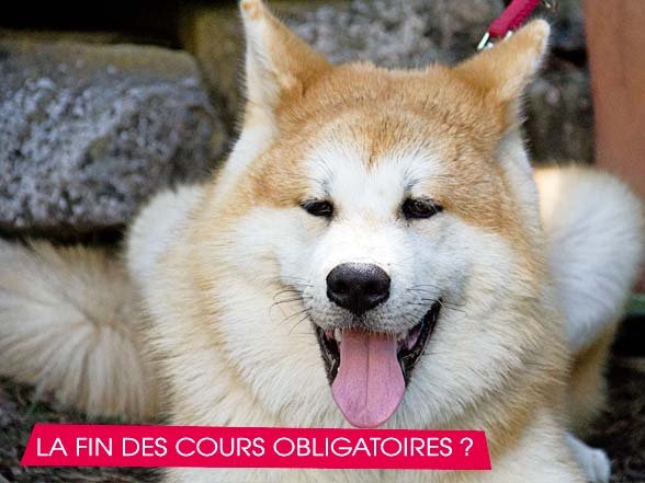 La fin des cours obligatoires est votée