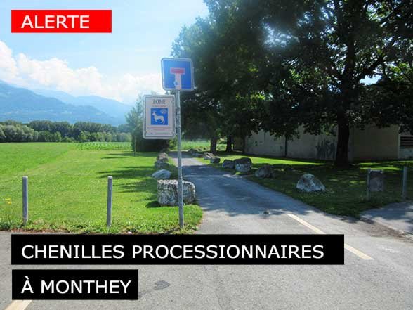Patinoire du Verney-Monthey