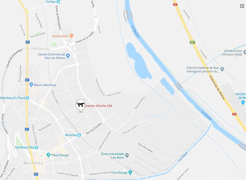 Education Canine Monthey