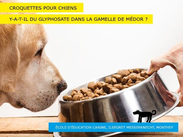 Gamelle de Médor - Croquettes pour chiens