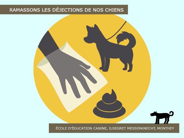 Ramasser les crottes de son chiens
