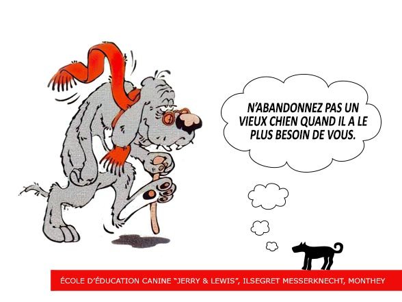 VMon vieux chien a de l'arthrose